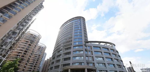 智博會大咖談 御數(shù)字化東風,灝谷科技開啟全新格局