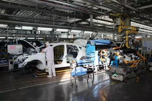 成都人吃10個番茄就有8個來自攀枝花 跨越614公里攀枝花將陽光資源 輸入 成都