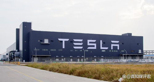 特斯拉 已在中國建立數據中心