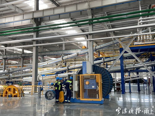 我為企業解難題 各方助力,東方電纜未來工廠提前一年投產