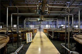 漫步森林中的蒸餾廠 探尋東方威士忌的奧秘 新浪揚州