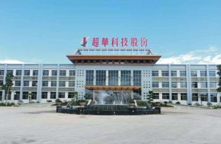 法院判決超華科技 002288 應賠償八名投資者474萬余元