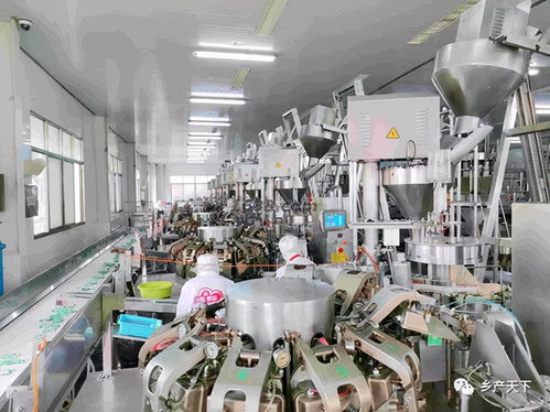 龍頭企業(yè) 紅太陽精品 東 菜 西 薯 ,爭做保障供給排頭兵