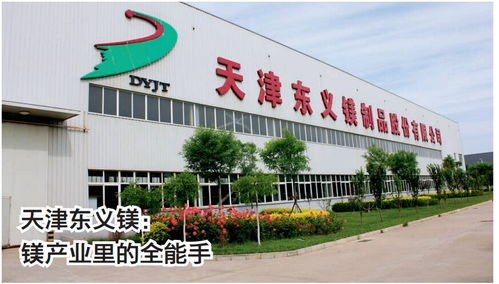 天津東義鎂制品 鎂產(chǎn)業(yè)里的全能手