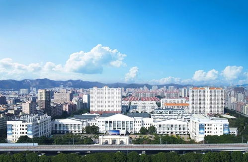 高科技之光照亮中國制造未來——東陽光集團高質量發展啟示錄