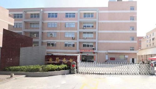 東昂科技 清倉式分紅疊加募資補流，客戶集中與擴產合理性引監管問詢